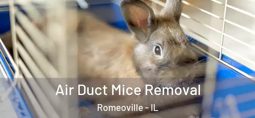  Air Duct Mice Removal Romeoville - IL