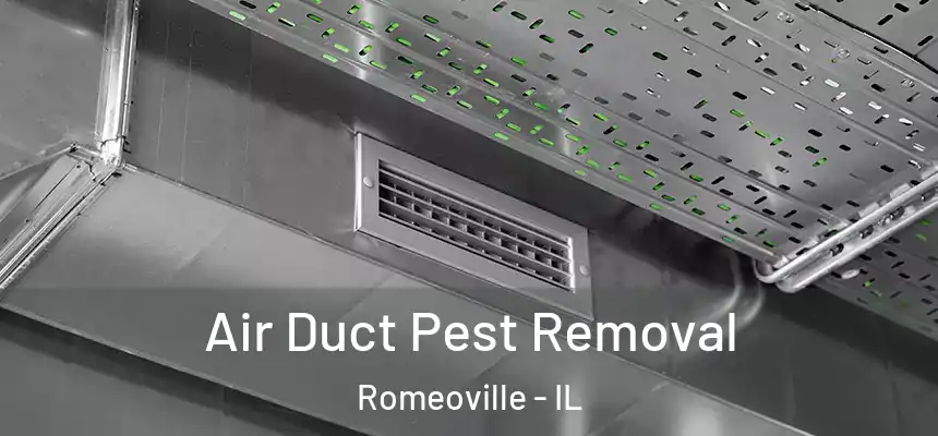 Air Duct Pest Removal Romeoville - IL