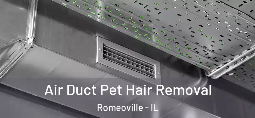 Air Duct Pet Hair Removal Romeoville - IL