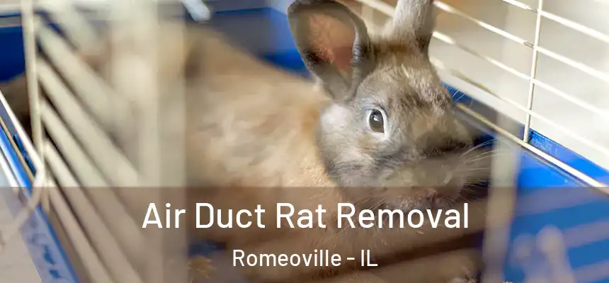  Air Duct Rat Removal Romeoville - IL