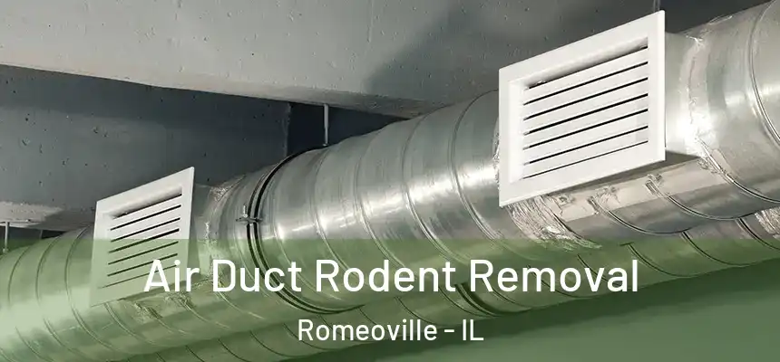  Air Duct Rodent Removal Romeoville - IL
