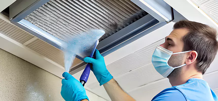 Proactive Dryer Vent & Auxiliary Duct Pollen Cleanup in Romeoville, IL