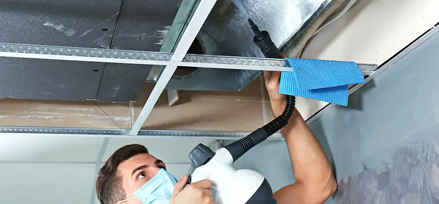 Our Air Duct Rodent Removal Services in Romeoville, IL