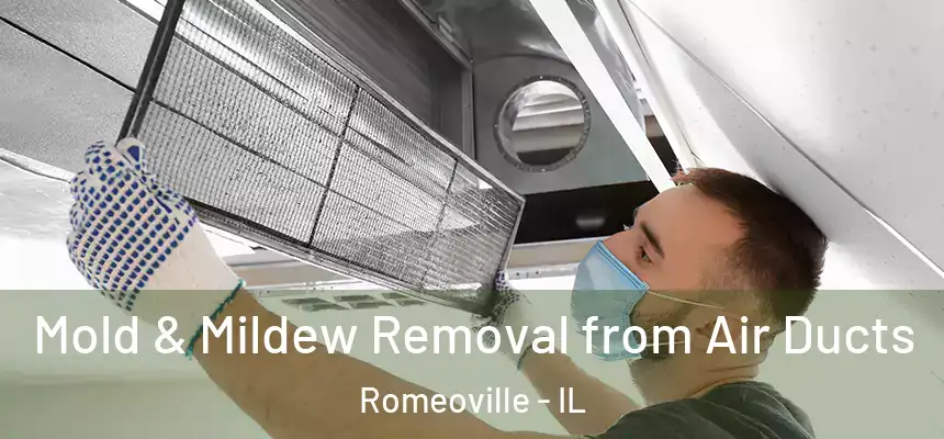 Mold & Mildew Removal from Air Ducts Romeoville - IL