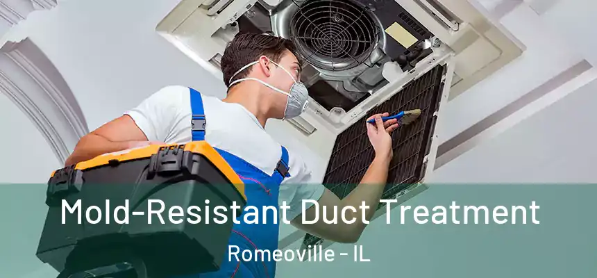  Mold-Resistant Duct Treatment Romeoville - IL