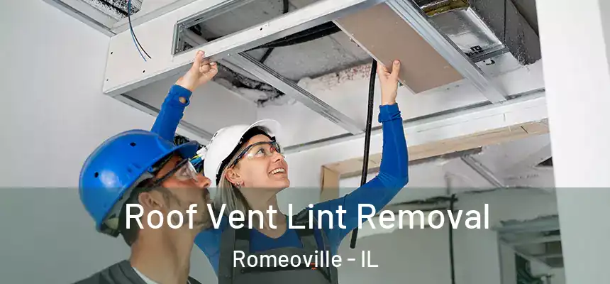 Roof Vent Lint Removal Romeoville - IL