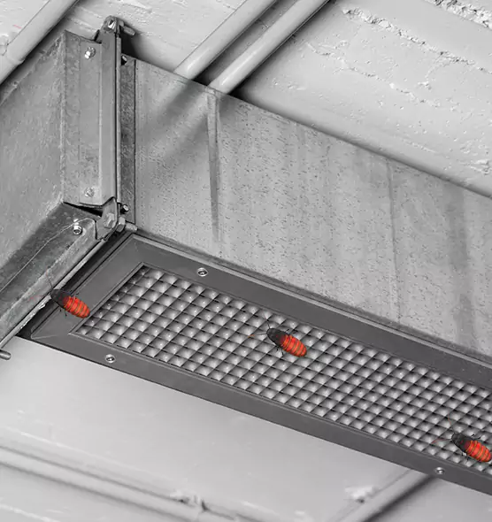 Affordable Insect Removal from Air Ducts in Romeoville, IL