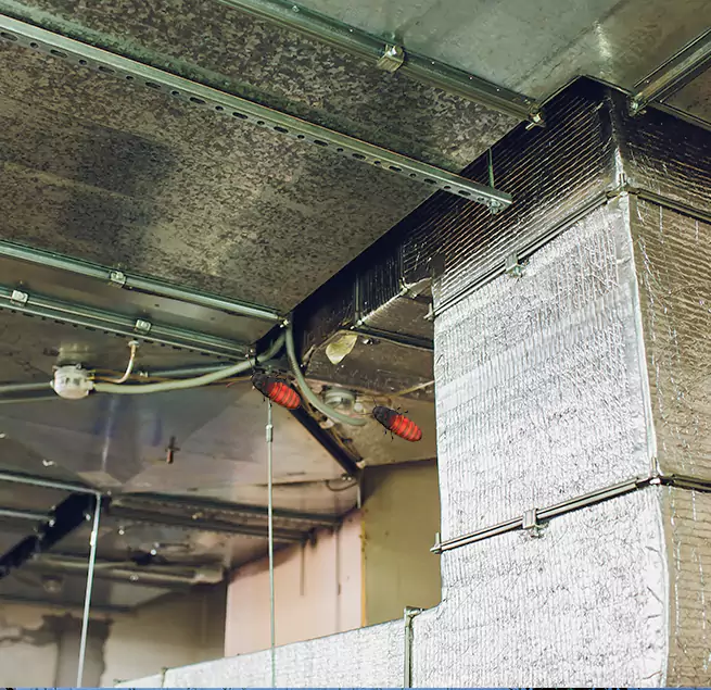 Why Homeowners & Businesses Trust Us in Romeoville, IL?