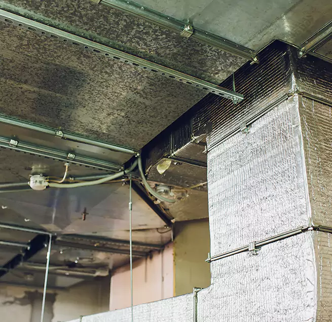 Why Homeowners & Businesses Trust Us in Romeoville, IL?